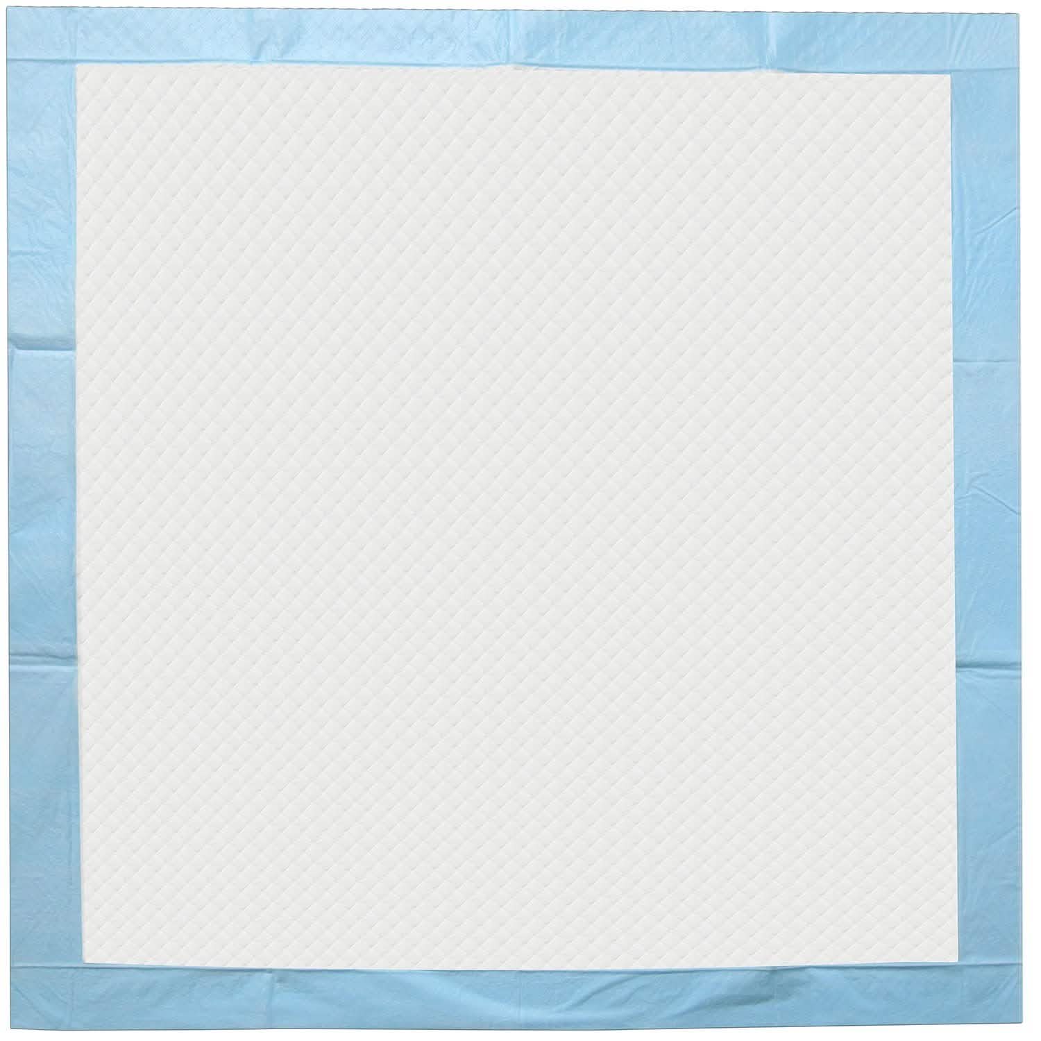 30-Pack: Paws & Pals Puppy Pee Pads Potty Training Leak-Proof Pet Supplies - DailySale