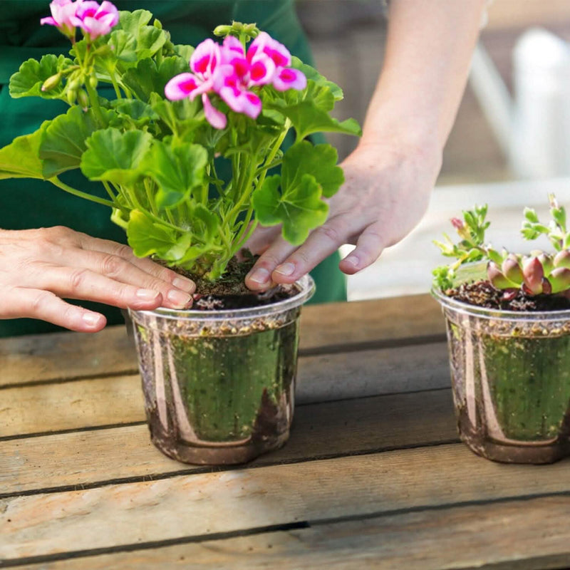 30-Pieces: Plant Nursery Pots PET Flower Seed Starting Pots Container with Dome Drainage Holes Garden & Patio - DailySale