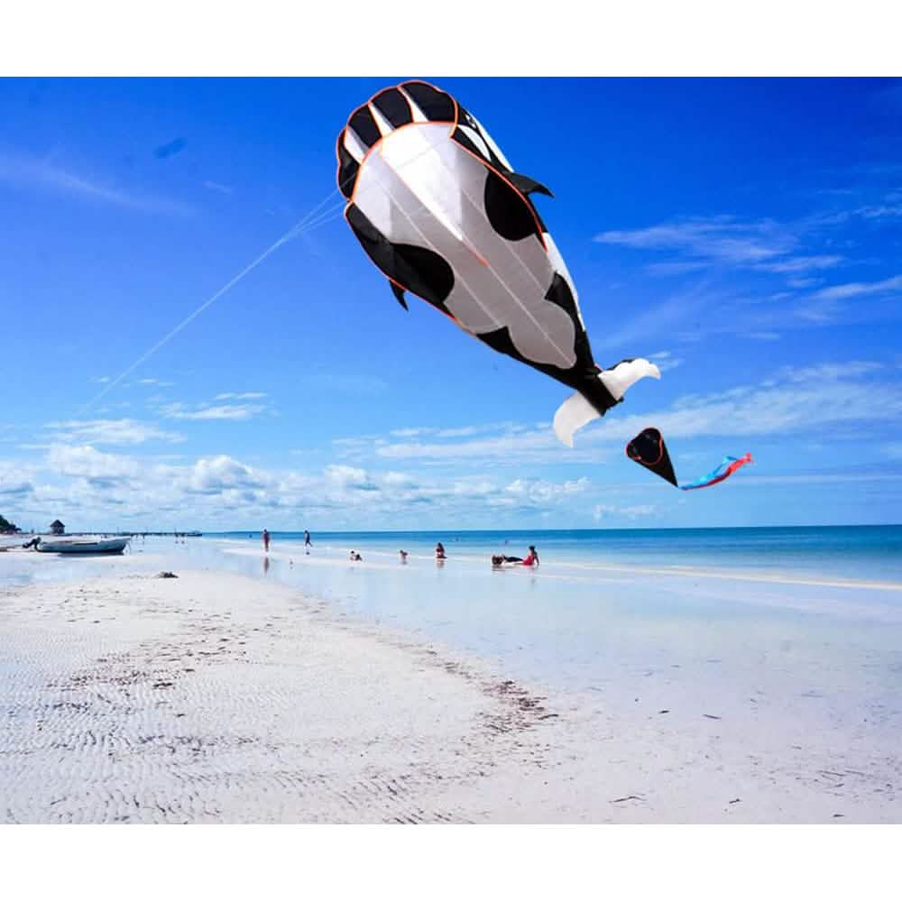 3D Whale Kite for Kids and Adults Toys & Games - DailySale