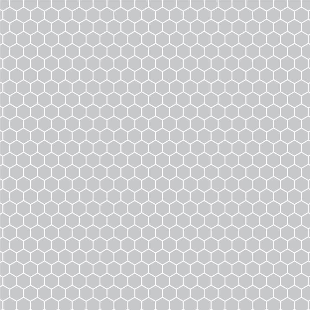 #color_light gray