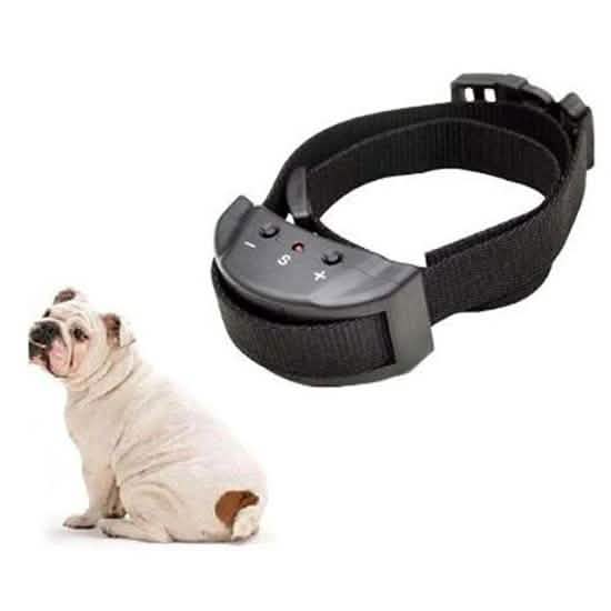 4Pet Advanced No Bark Dog Training Collar with Clicker Pet Supplies - DailySale