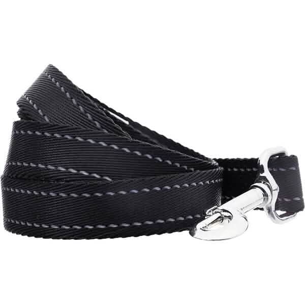 5 Foot Padded Single Handle Dog Leash Pet Supplies - DailySale