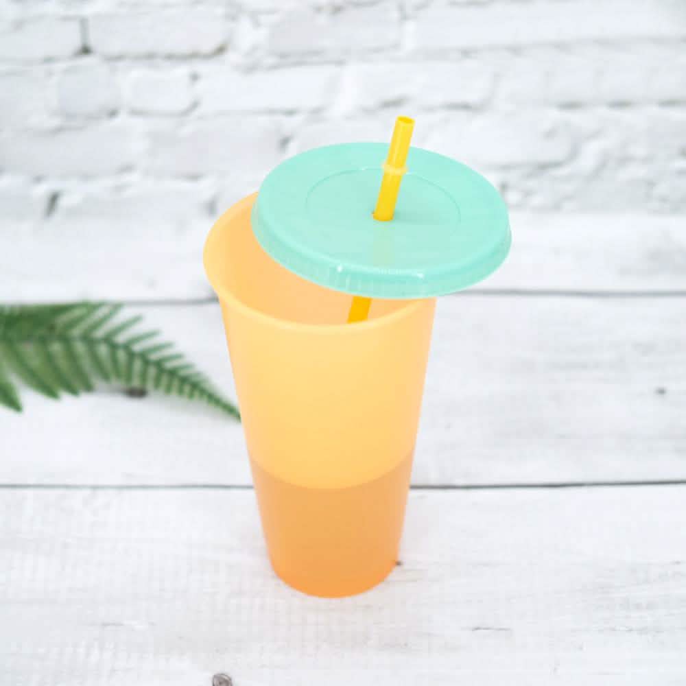 5-Pack: Colorful Drinking Cup with Lid and Straw Kitchen & Dining - DailySale