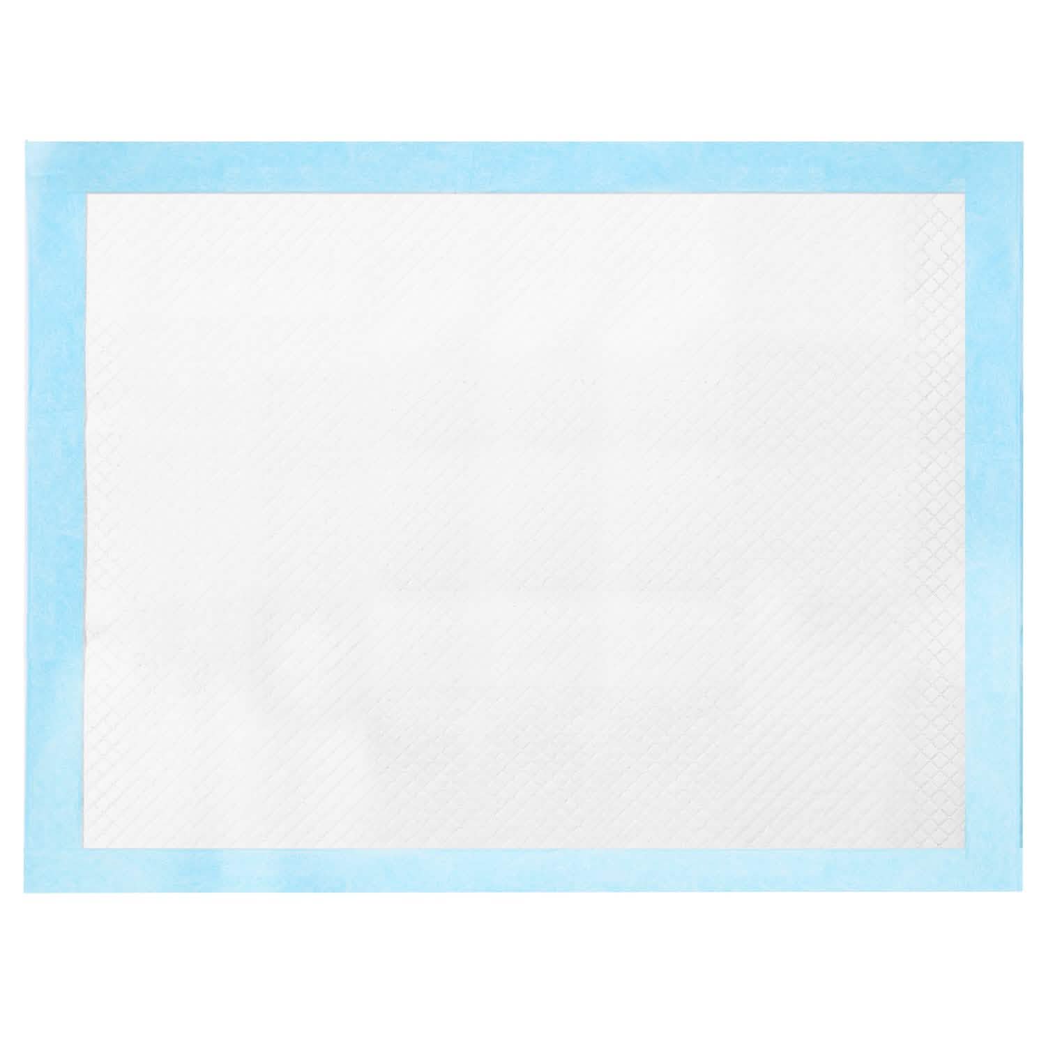 50-Piece: Dog Training Pads Pet Supplies - DailySale