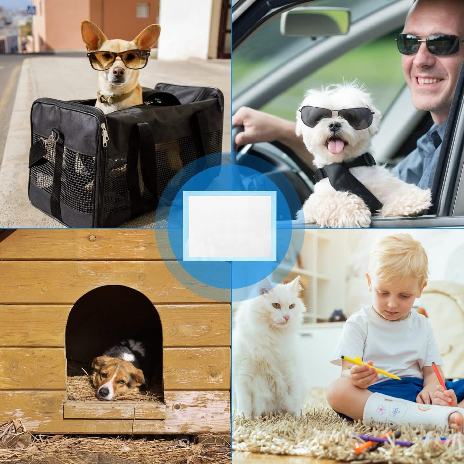 50-Piece: Dog Training Pads Pet Supplies - DailySale