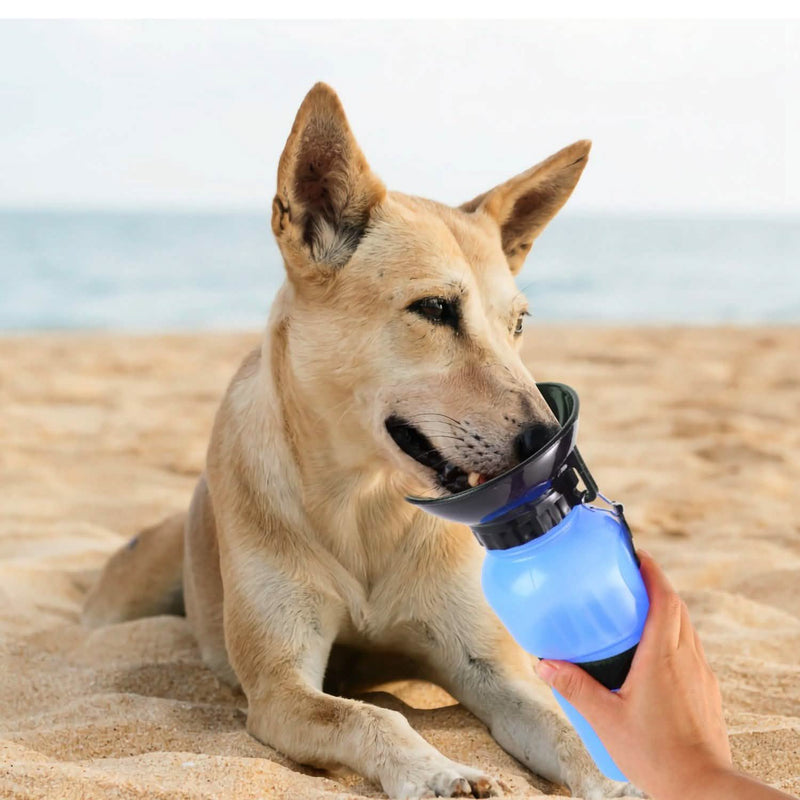 #color_blue