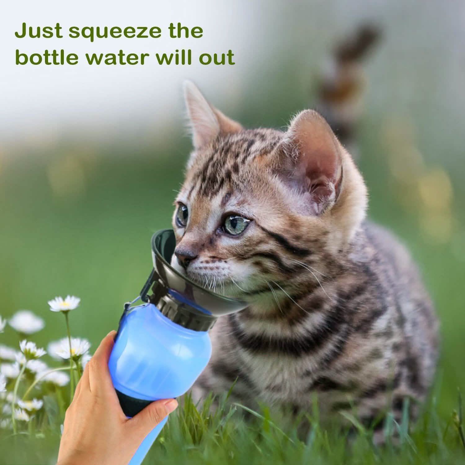 500ml Pet Water Bottle Portable Water Cup Pet Supplies - DailySale
