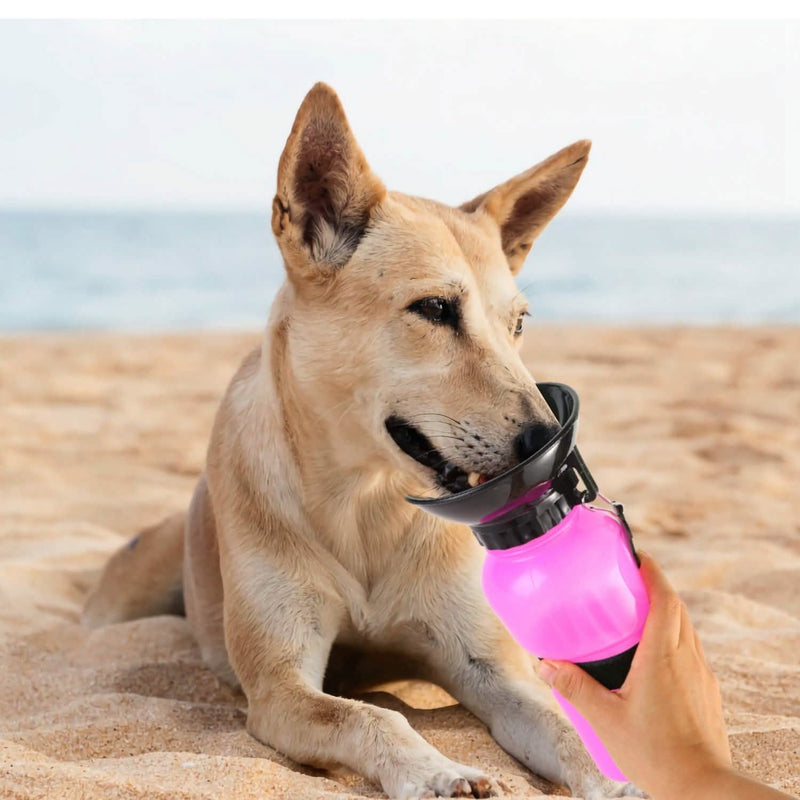 #color_pink