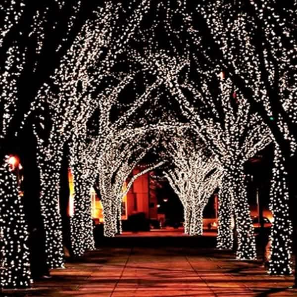 55' Solar-Powered 100-LED Fairy Light String - Warm White Home Lighting - DailySale