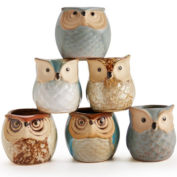 6-Pack: 2.5 Inch Owl Pot Ceramic Base Garden & Patio - DailySale