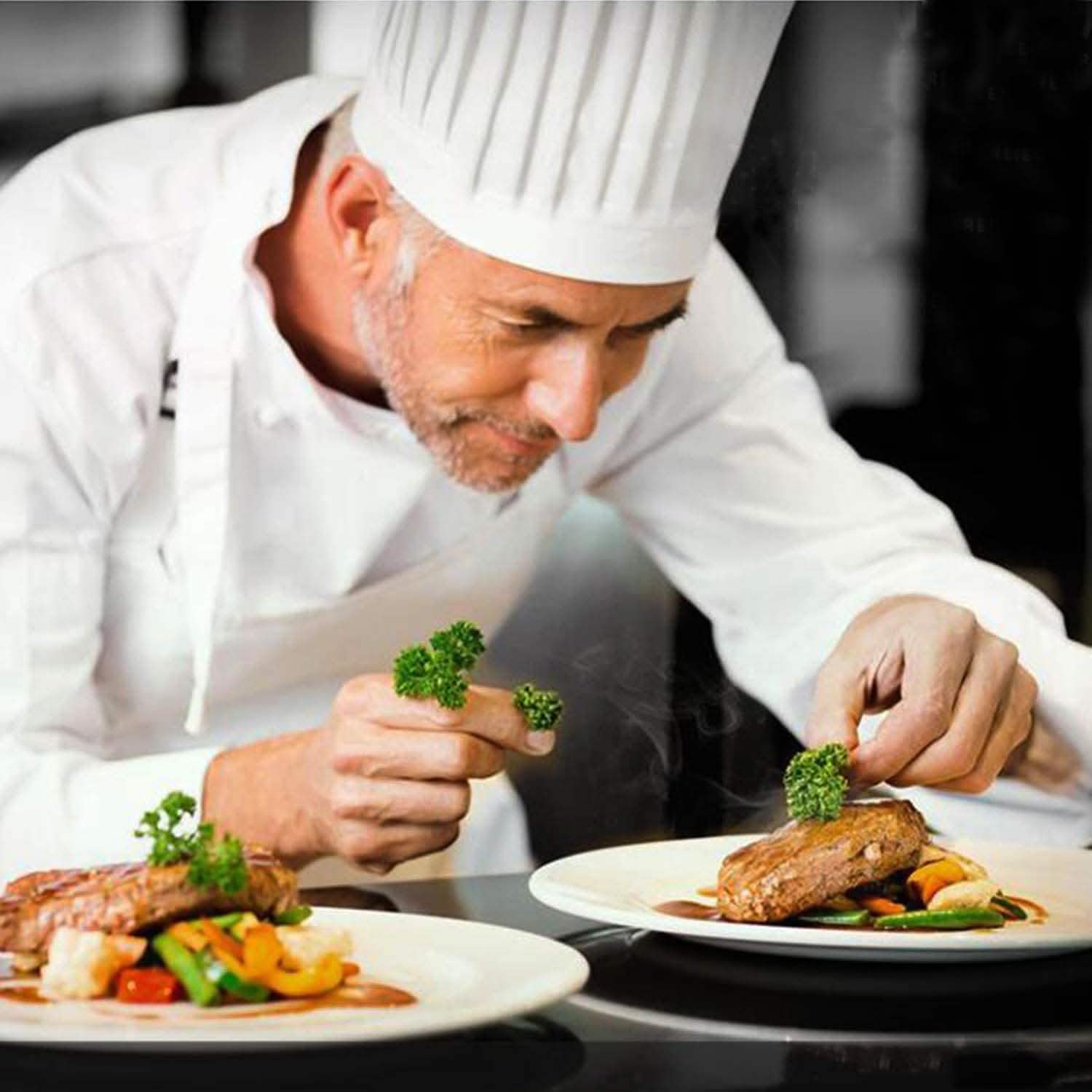 6-Pack: Melamine Servings Bowls or Plates Wine & Dining - DailySale