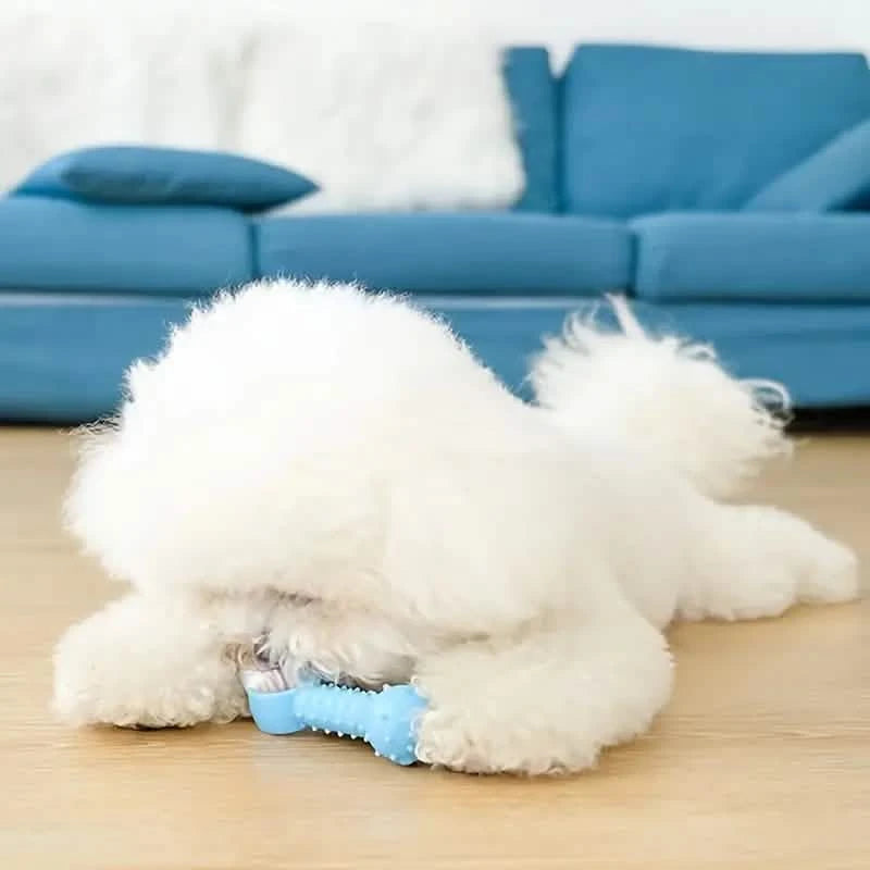 6-Pack: Puppy Teething Chew Toys with Interactive Ropes Pet Supplies - DailySale