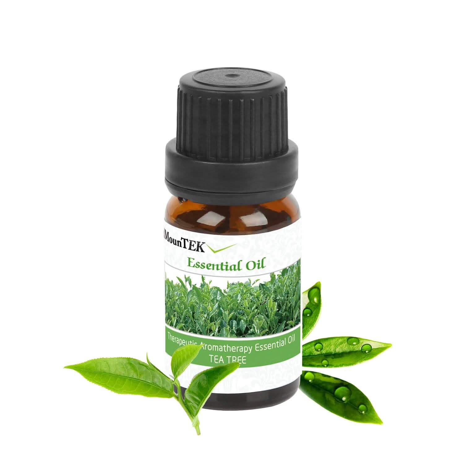 6-Pack: Therapeutic Aromatherapy Essential Oils Bottle Wellness - DailySale