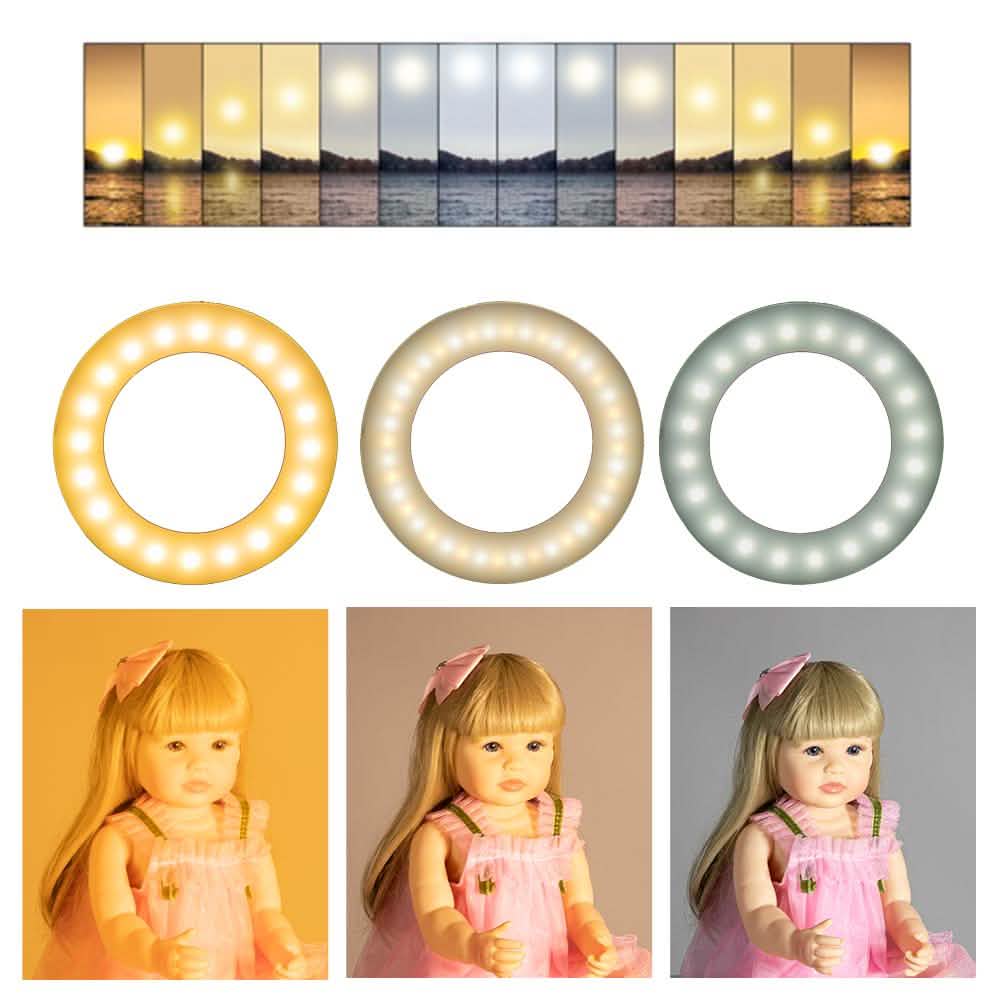 6.3" Multi-function Selfie Ring Light with Tripod Stand Mobile Accessories - DailySale