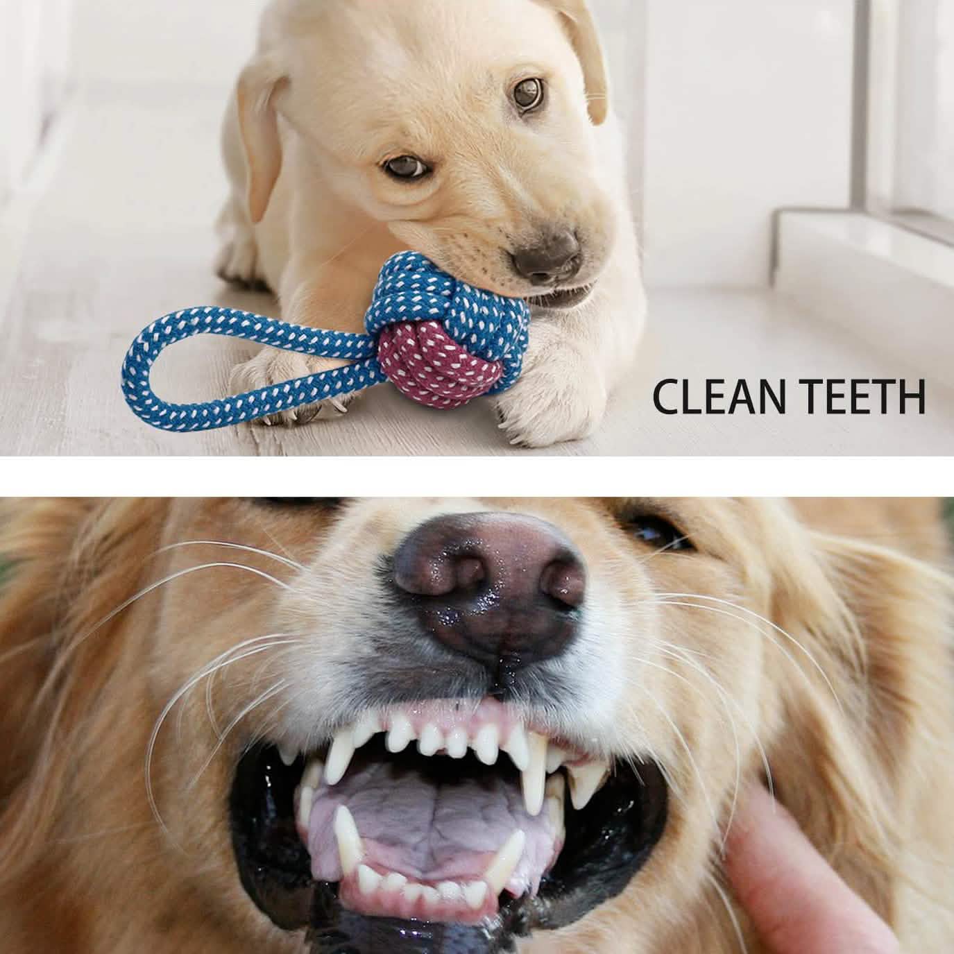7-Piece: Puppy Cord Chew Toys Pet Supplies - DailySale