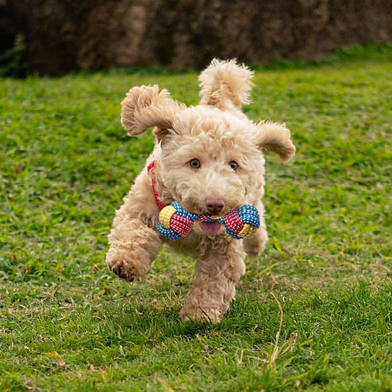 7-Piece: Puppy Cord Chew Toys Pet Supplies - DailySale