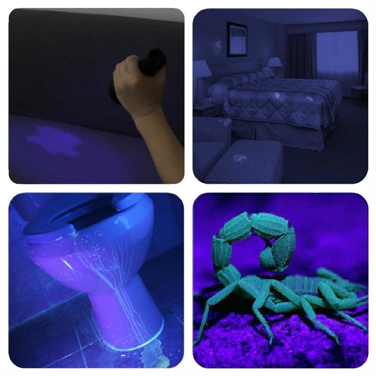 51 LED Ultraviolet Blacklight - DailySale, Inc