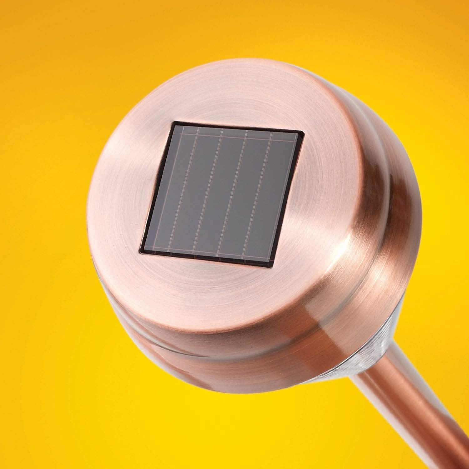 6-Pack: EcoThink Outdoor Solar LED Pathway Light - DailySale, Inc
