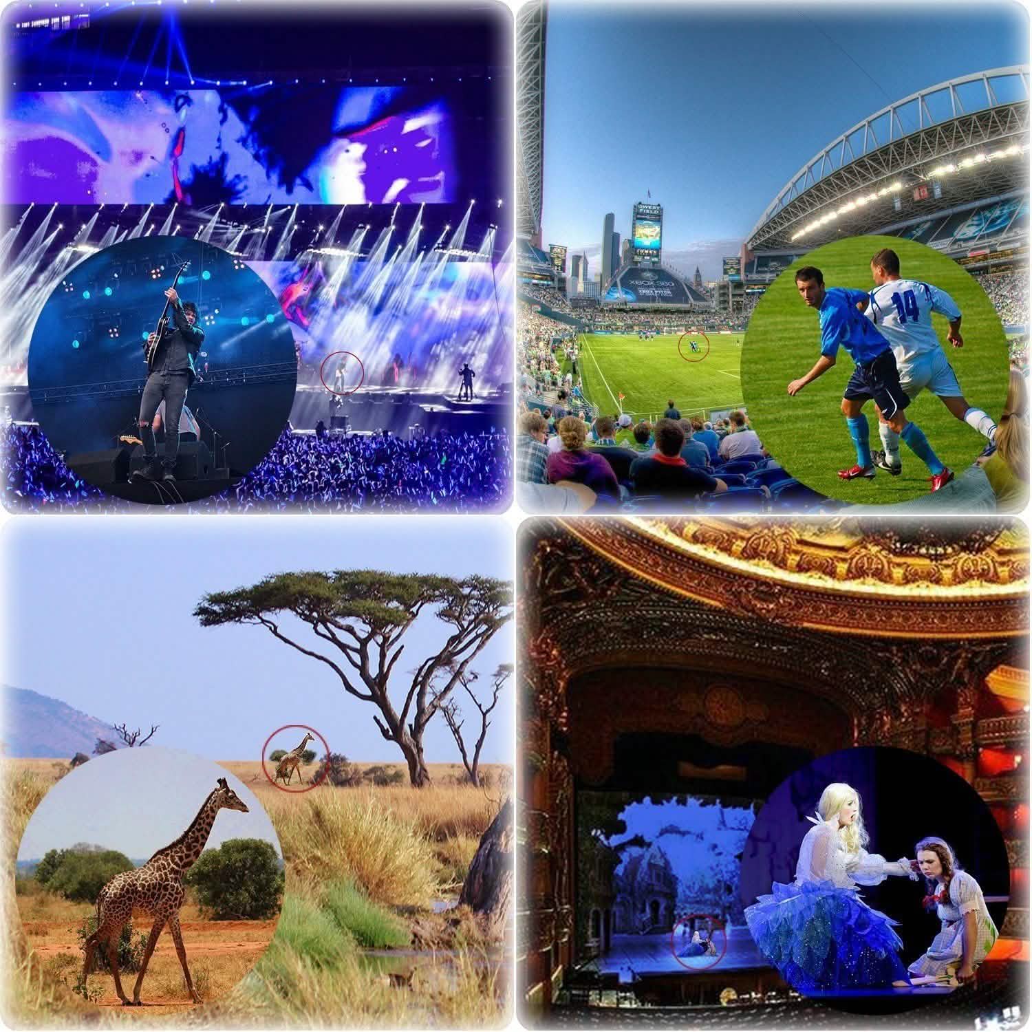 8x21 Small Compact Lightweight Binoculars Sports & Outdoors - DailySale