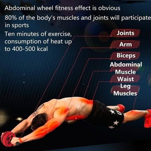 ABS Abdominal Roller Wheel Workout Fitness - DailySale