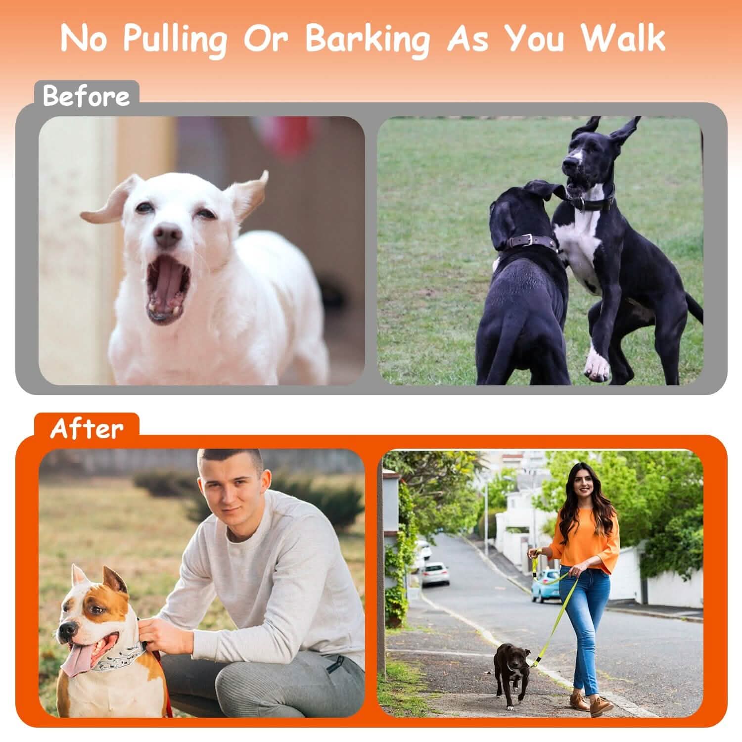 Adjustable Dog Choke Collar Training Chain Pet Supplies - DailySale