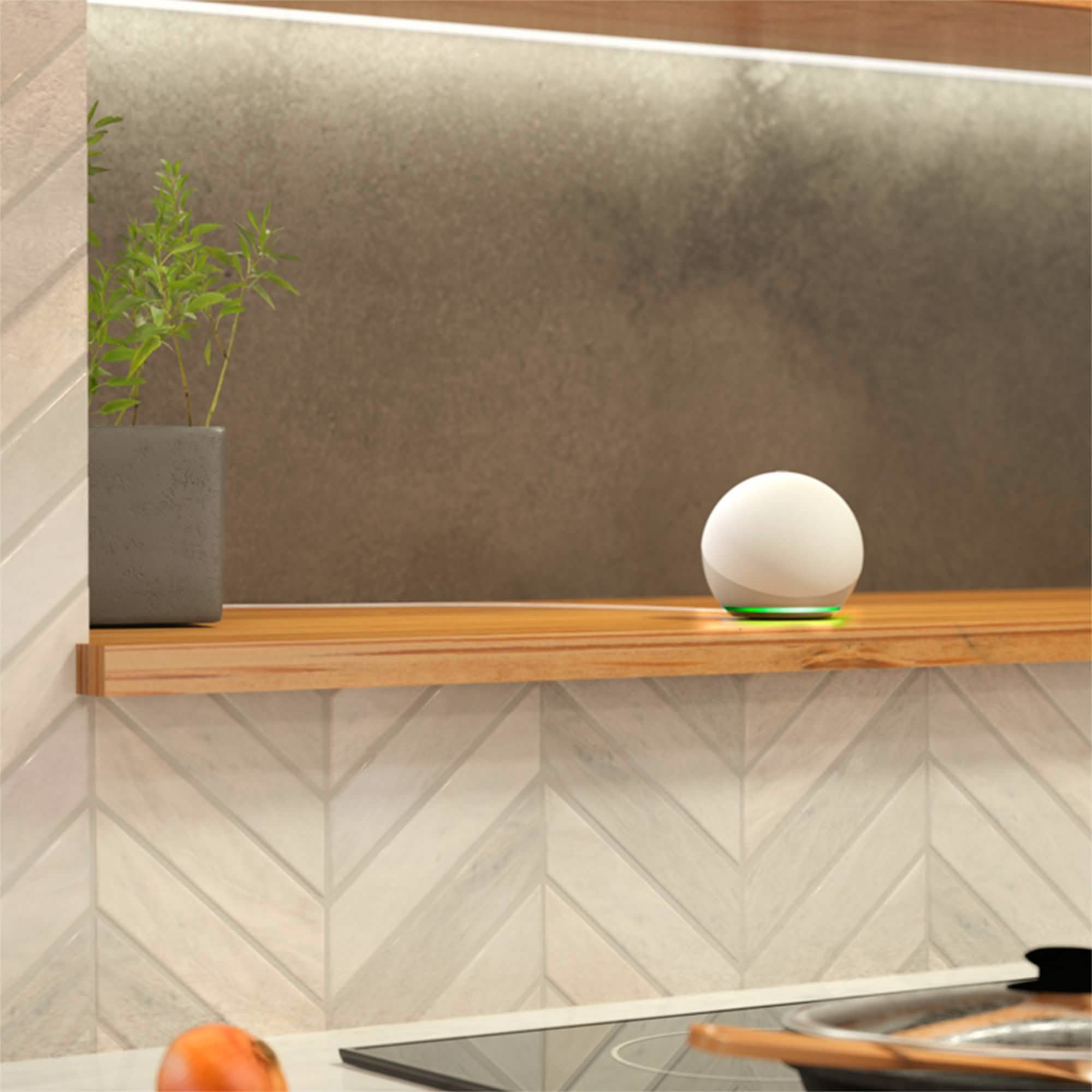 Amazon - Echo Dot (4th Gen) Smart Speaker with Alexa Speakers - DailySale