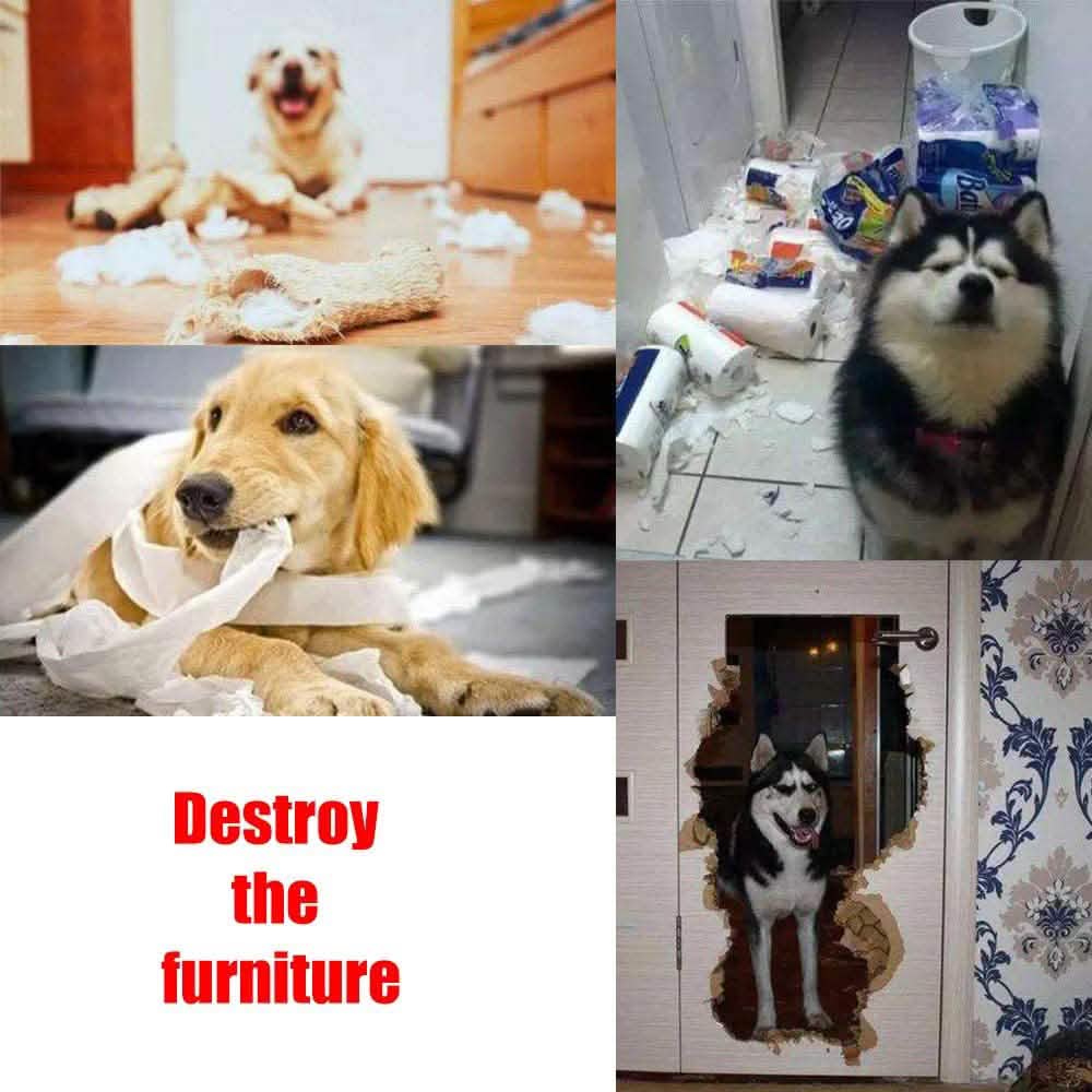 AWOOF Pet Snuffle Mat for Dogs Pet Supplies - DailySale