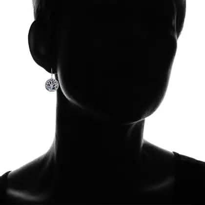 Barzel Tree of Life Drop Earrings with Abalone Pearl Earrings - DailySale