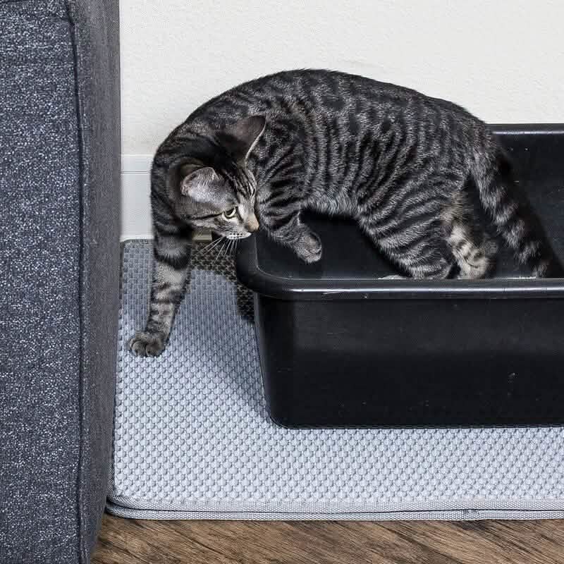 Cat and Rabbit Litter Trap Mat Pet Supplies - DailySale