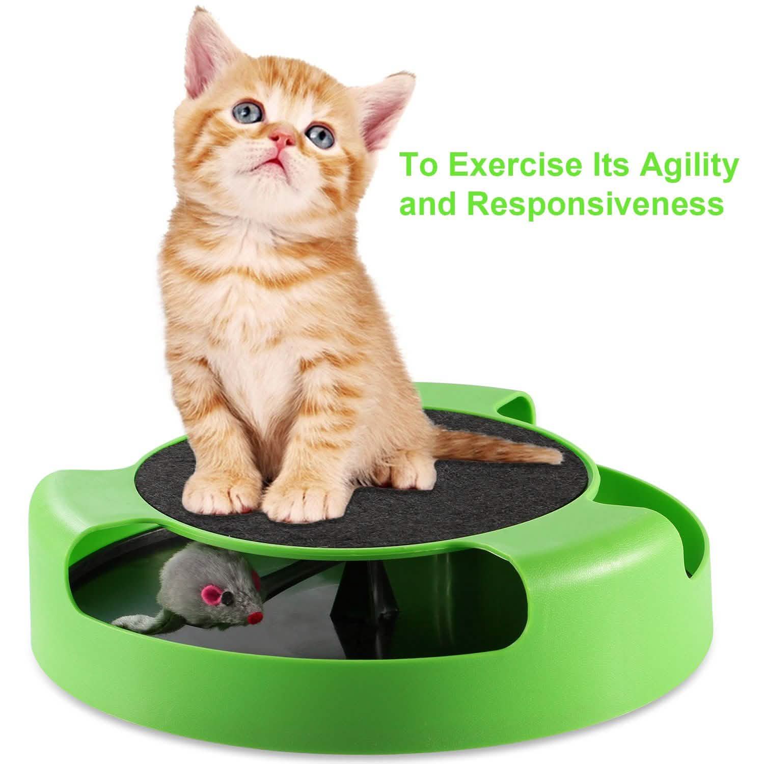 Cat Interactive Scratching Toy with Rotating Running Mouse Pet Supplies - DailySale