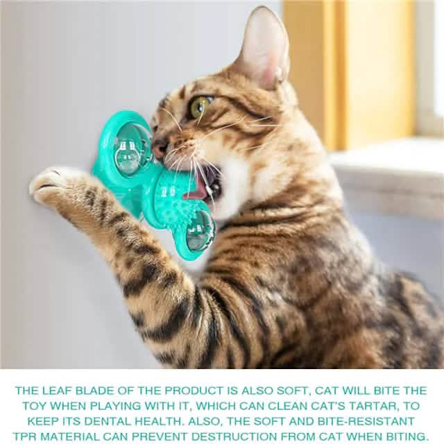 Cat Teases Interactive Pet Toy Pet Supplies - DailySale