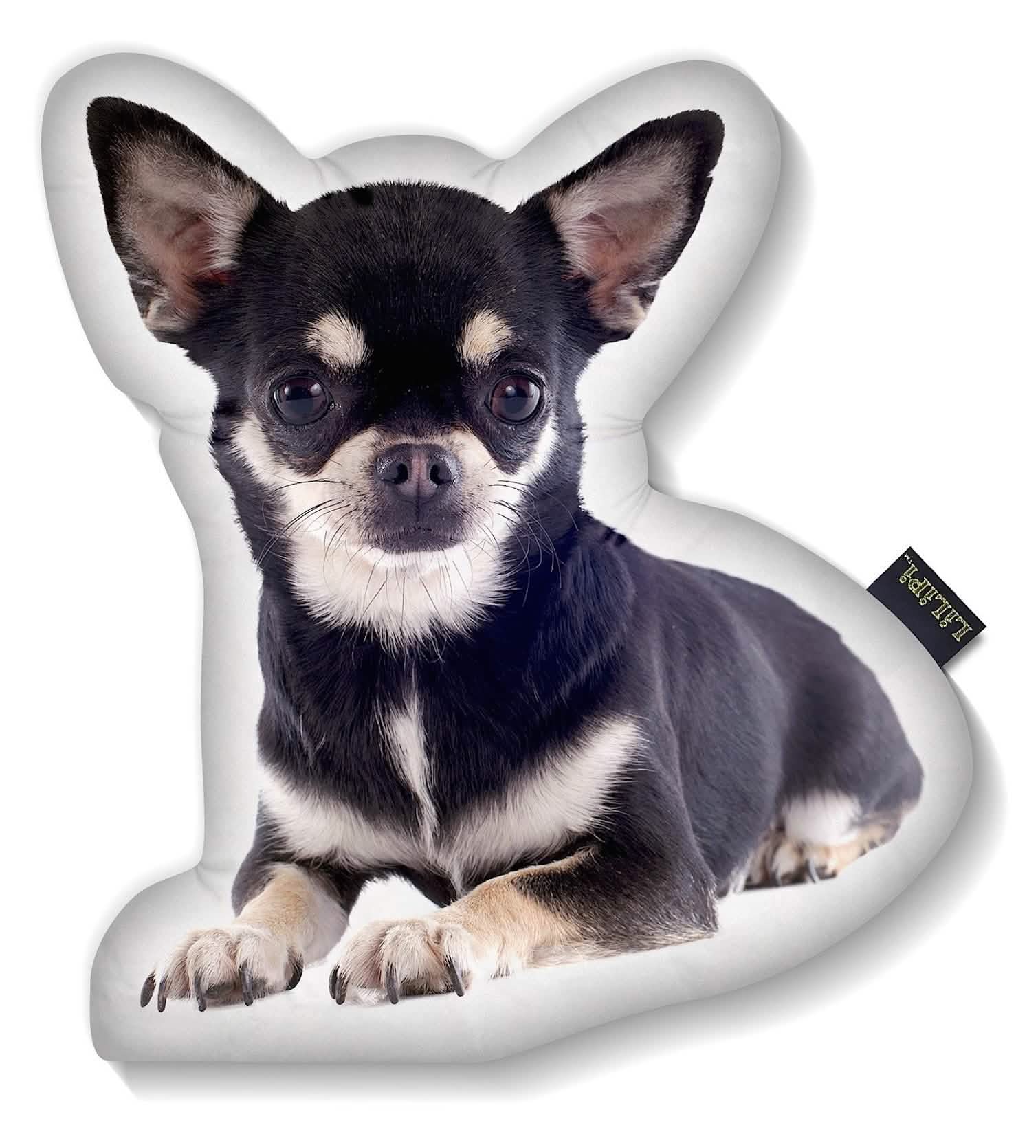 LiLiPi Dog-Shaped Accent Pillow - Assorted Styles - DailySale, Inc