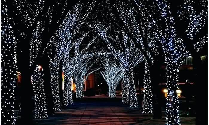 Solar-Powered 100 LED Fairy Light String - Assorted Colors - DailySale, Inc