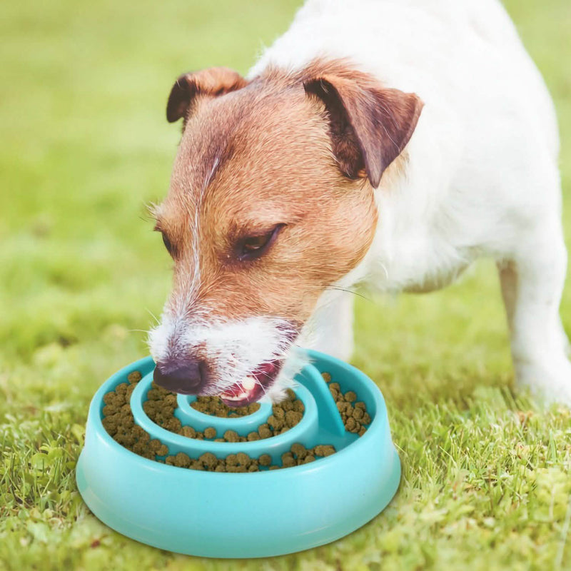 Dog Cat Slow Feeder Bowl Pet Supplies - DailySale