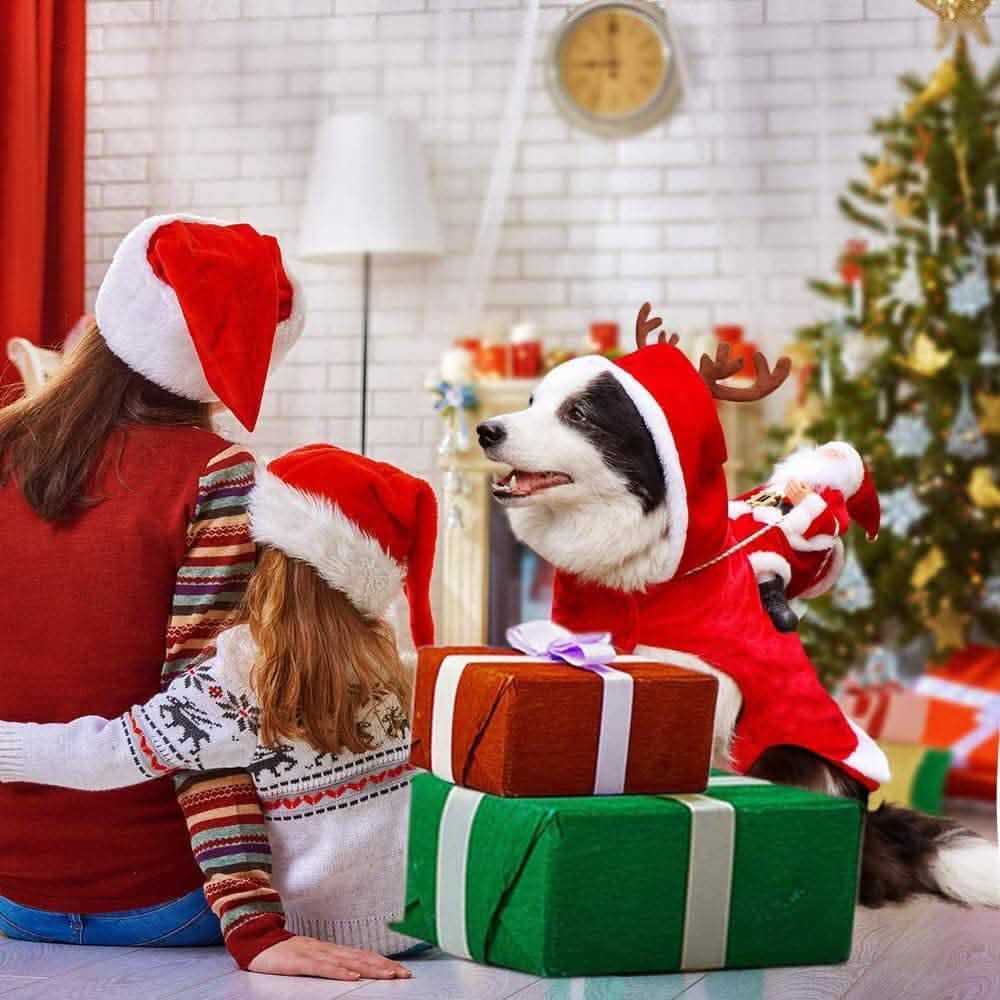 Dog Costume Christmas Pet Clothes Holiday Decor & Apparel - DailySale