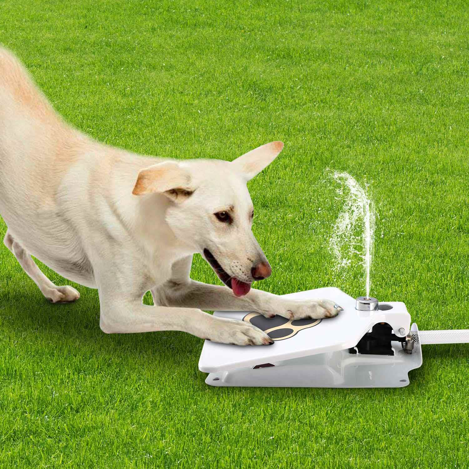 Dog Water Fountain Pet Supplies - DailySale