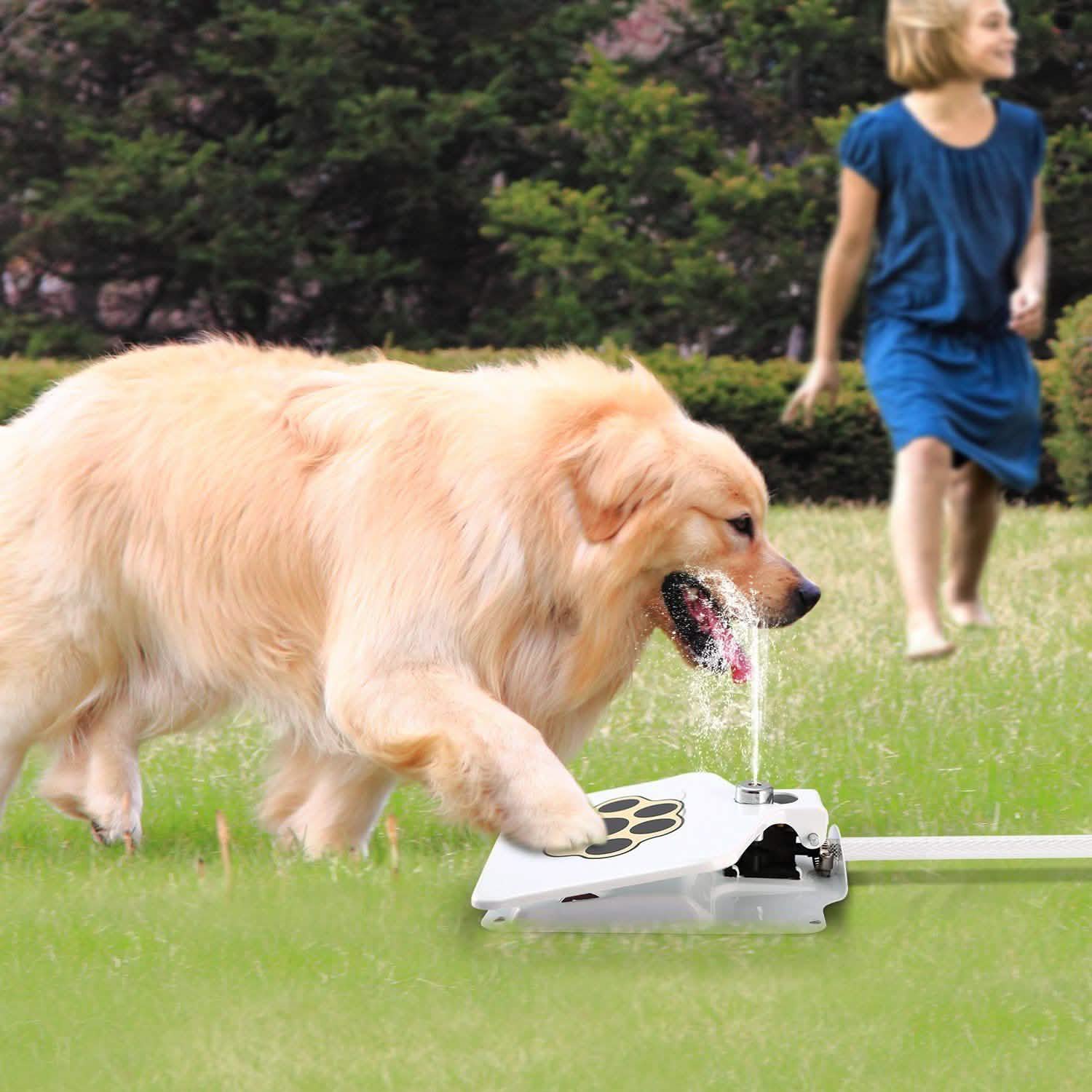 Dog Water Fountain Pet Supplies - DailySale