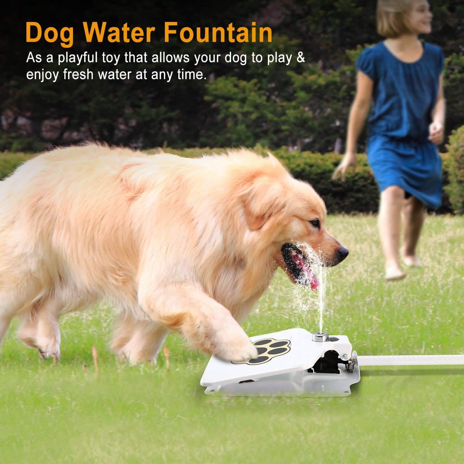 Dog Water Fountain Pet Supplies - DailySale