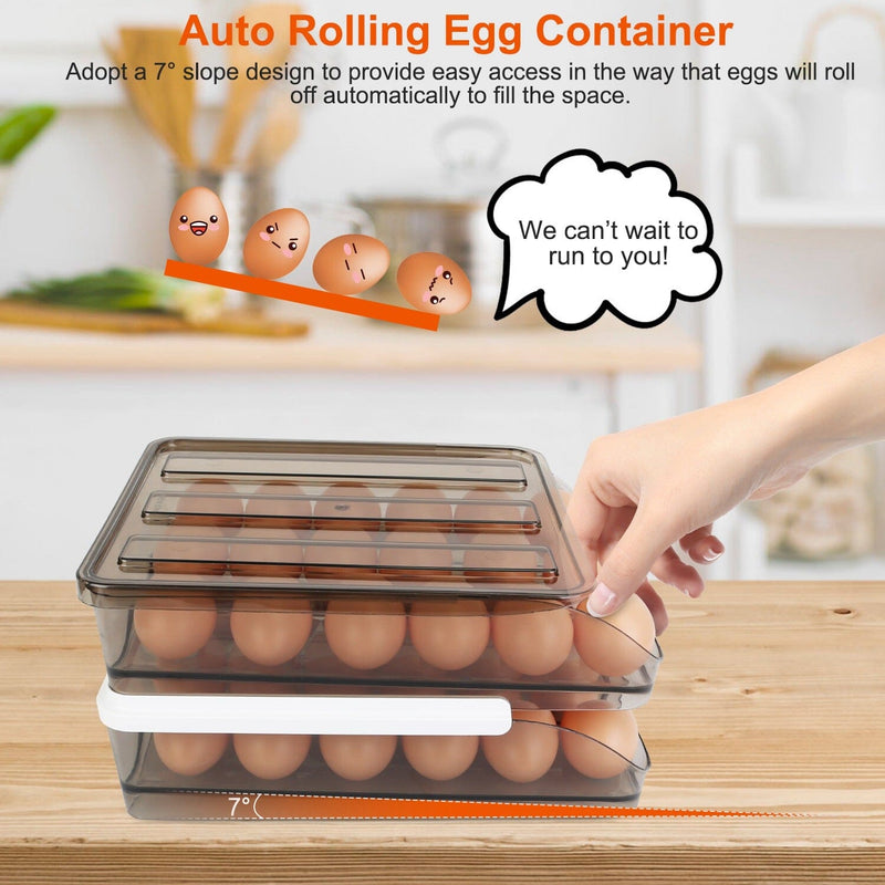 Double Layer Egg Storage for Refrigerator Kitchen Storage - DailySale