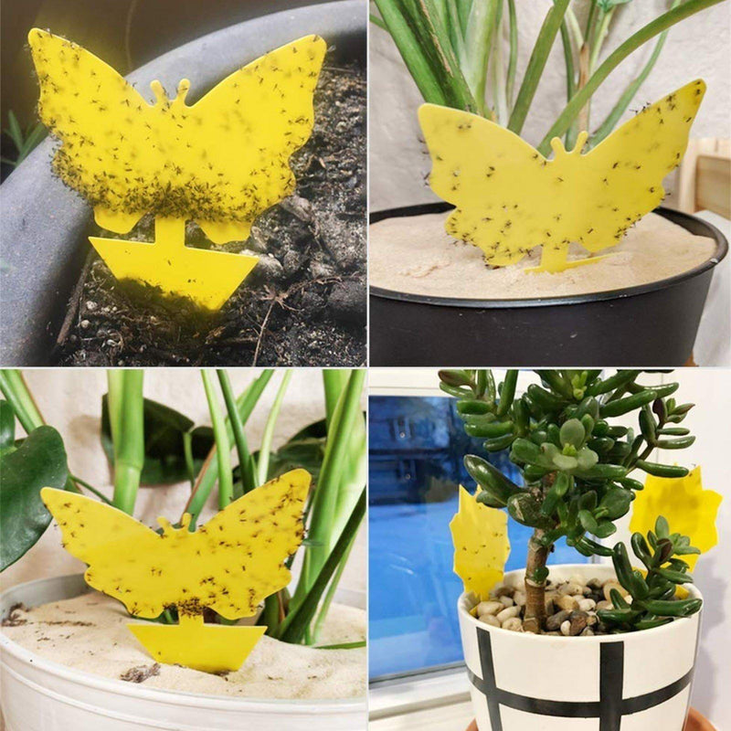 Double-Sided Flying Insect Yellow Sticky Trap Pest Control - DailySale