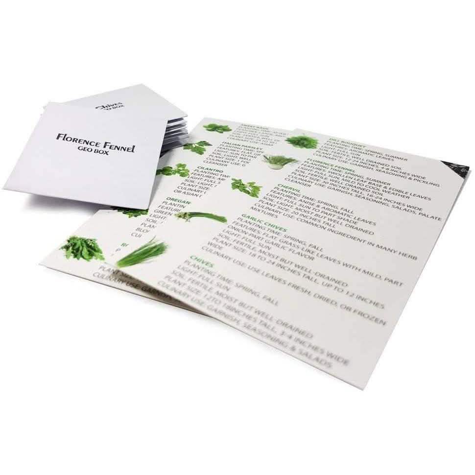 Easily Grow 10 Culinary Herb Garden Kit Kitchen Essentials - DailySale