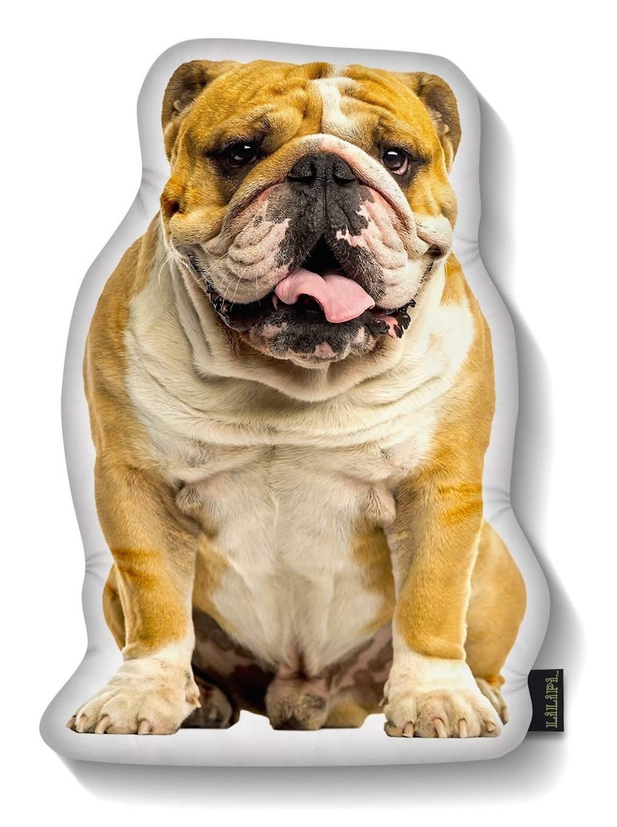 LiLiPi Dog-Shaped Accent Pillow - Assorted Styles - DailySale, Inc