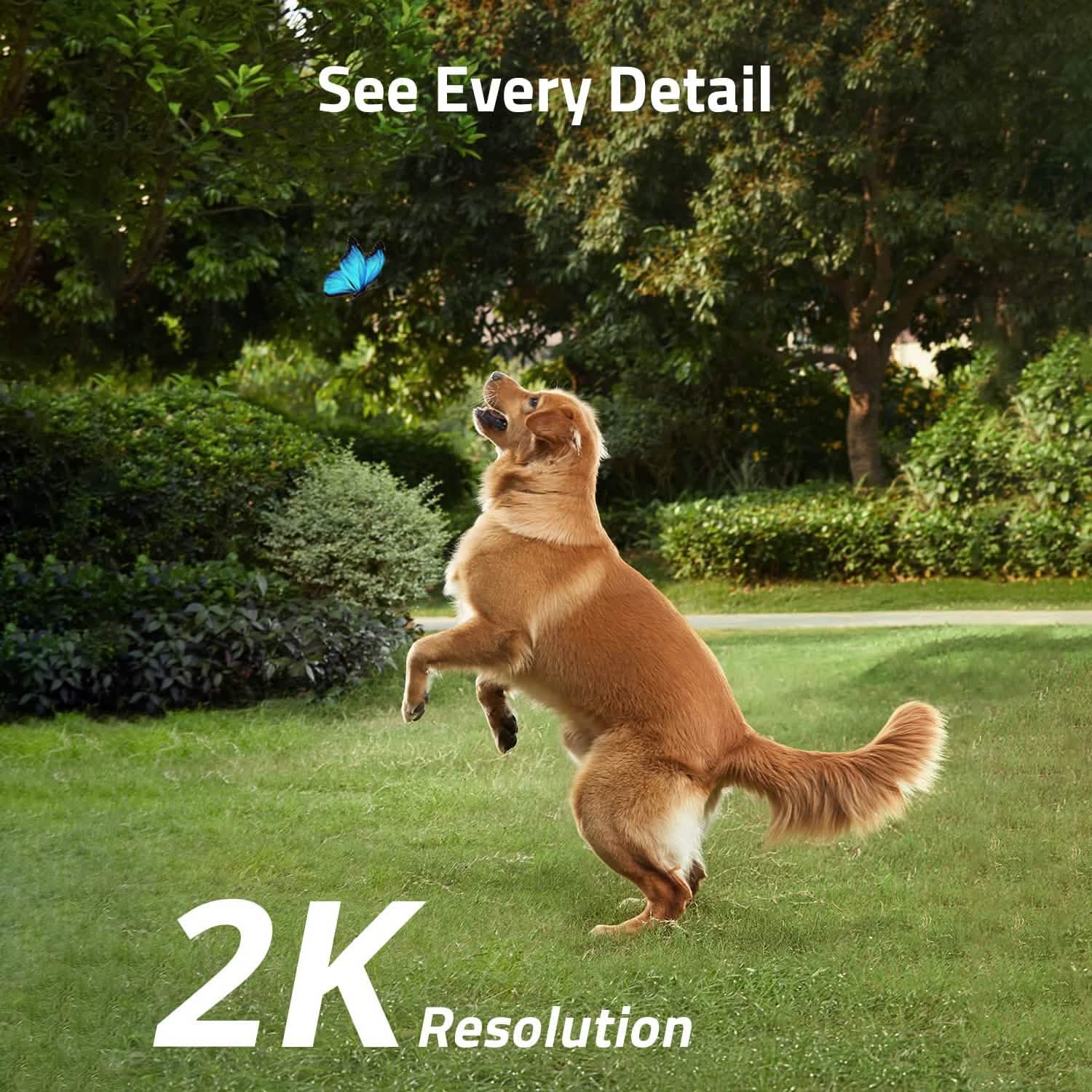 Eufy SoloCam S40 Solar Security Camera Cameras & Surveillance - DailySale