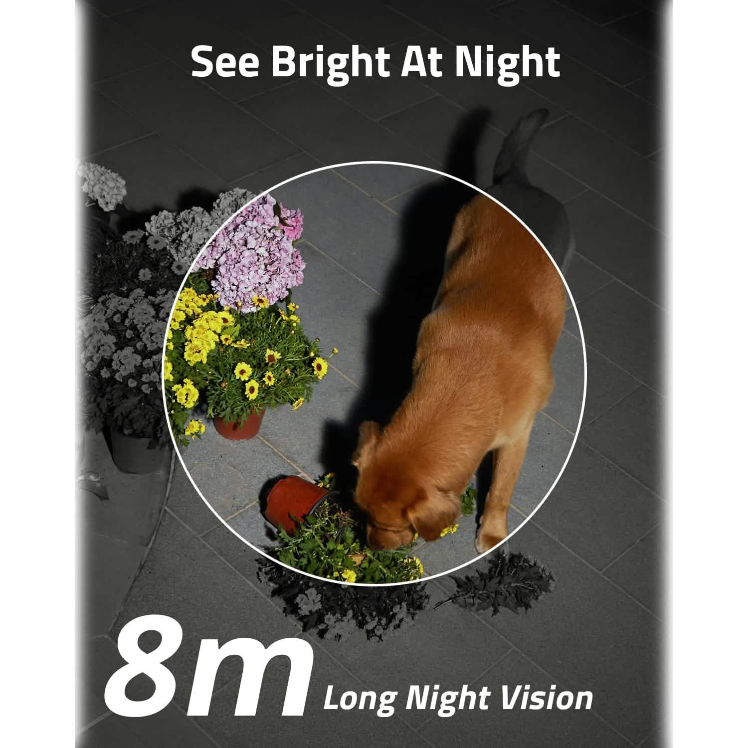 Eufy SoloCam S40 Solar Security Camera Cameras & Surveillance - DailySale