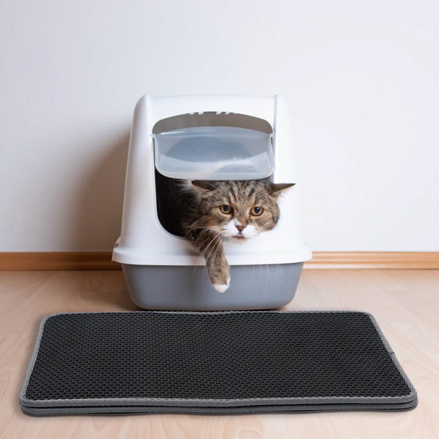 EVA Honeycomb Double Layer Cat Litter Mat Pet Supplies - DailySale
