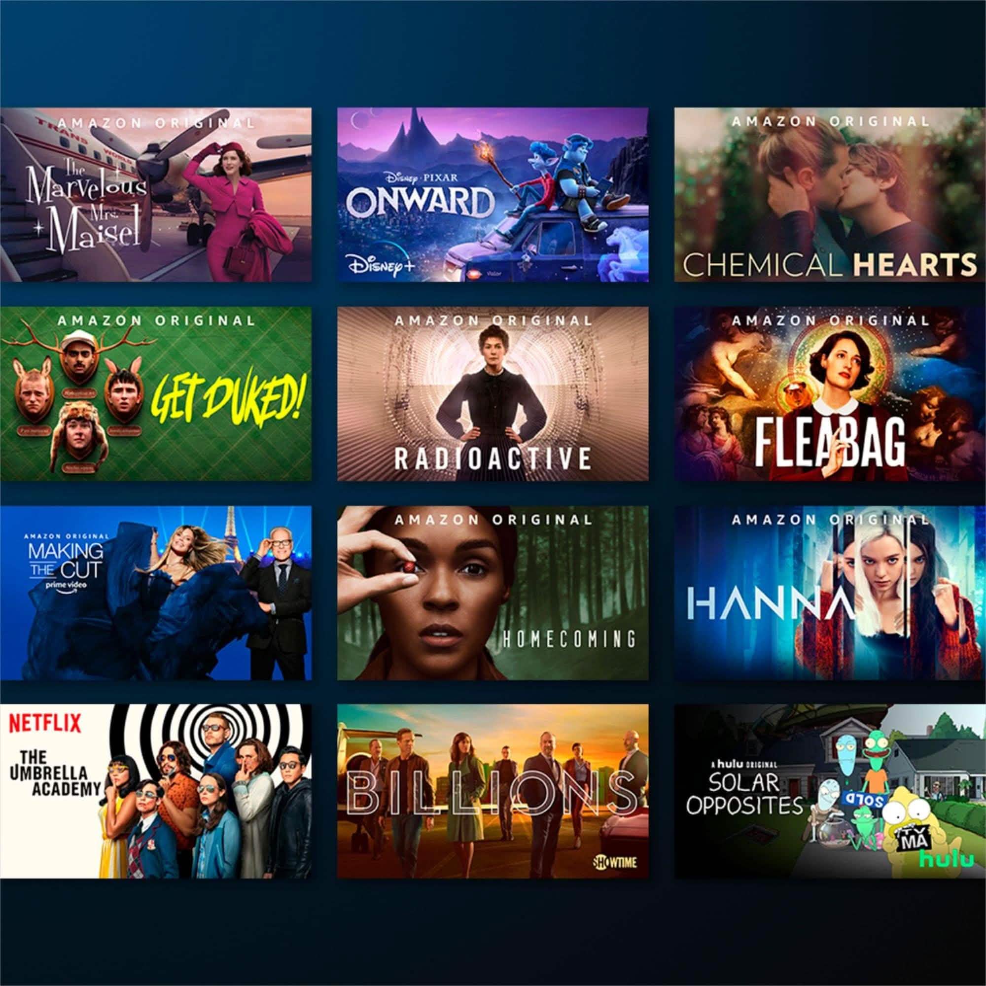 Fire TV Stick Lite Streaming Media Player TV & Video - DailySale