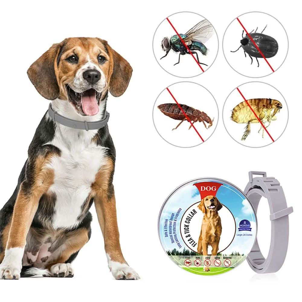 Flea Collar Dogs 8-month Flea and Tick Prevention for Dogs 3 Months of Age and Older Pet Supplies - DailySale