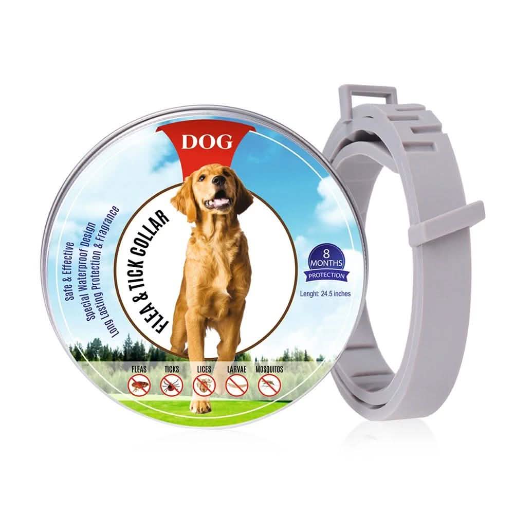 Flea Collar Dogs 8-month Flea and Tick Prevention for Dogs 3 Months of Age and Older Pet Supplies - DailySale