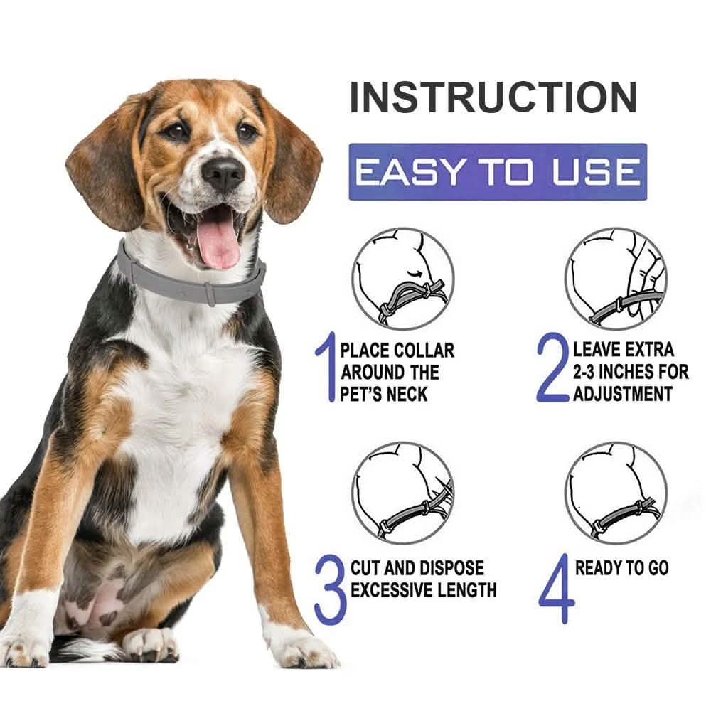 Flea Collar Dogs 8-month Flea and Tick Prevention for Dogs 3 Months of Age and Older Pet Supplies - DailySale