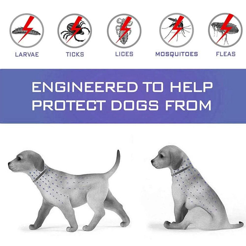 Flea Collar Dogs 8-month Flea and Tick Prevention for Dogs 3 Months of Age and Older Pet Supplies - DailySale